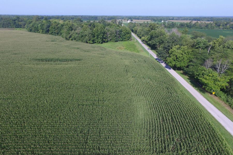 DJI_0029