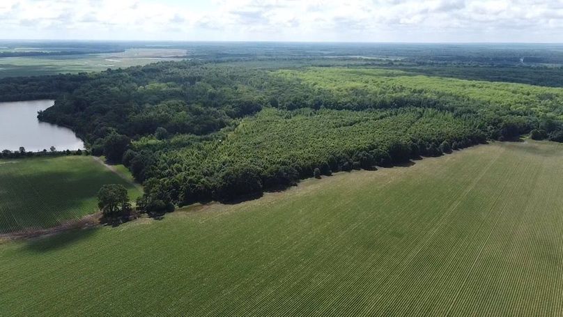 2024-06-01-10-31-36-012