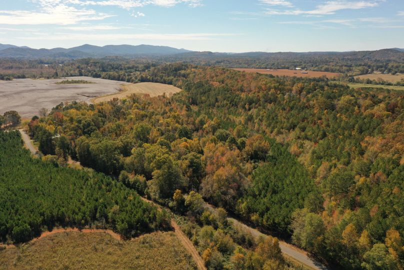 DJI_0205