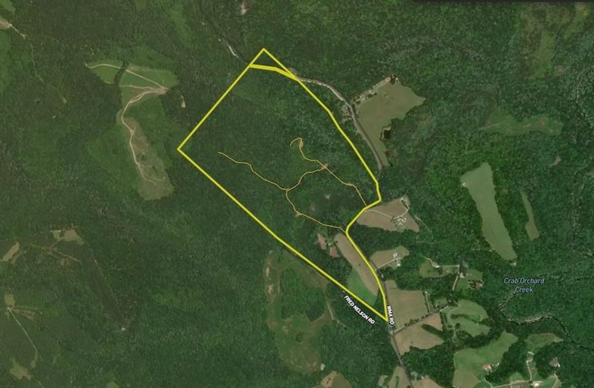 Screenshot 2025-03-13 at 2.32.16 PM