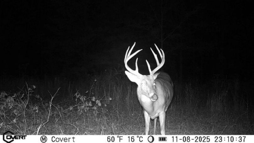 11_08_2025_23_10_37_3244562319