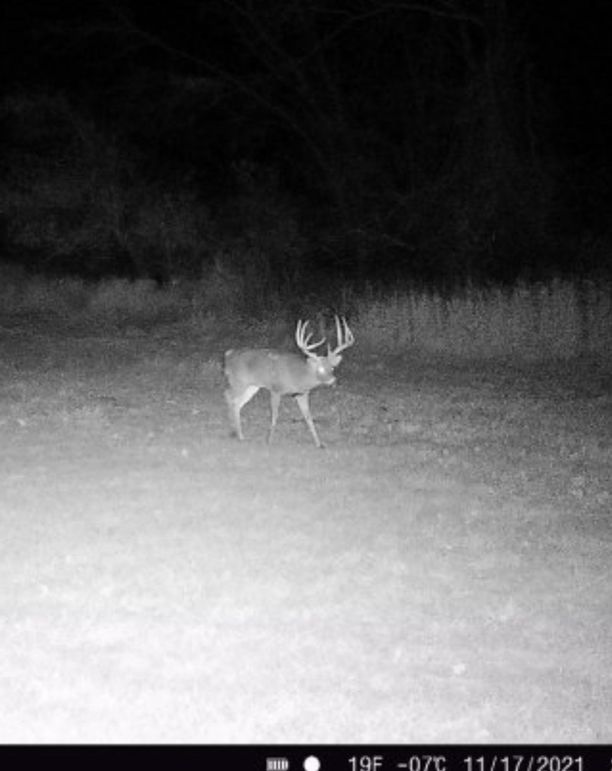 Screenshot 2023-07-12 at 1.39.03 PM