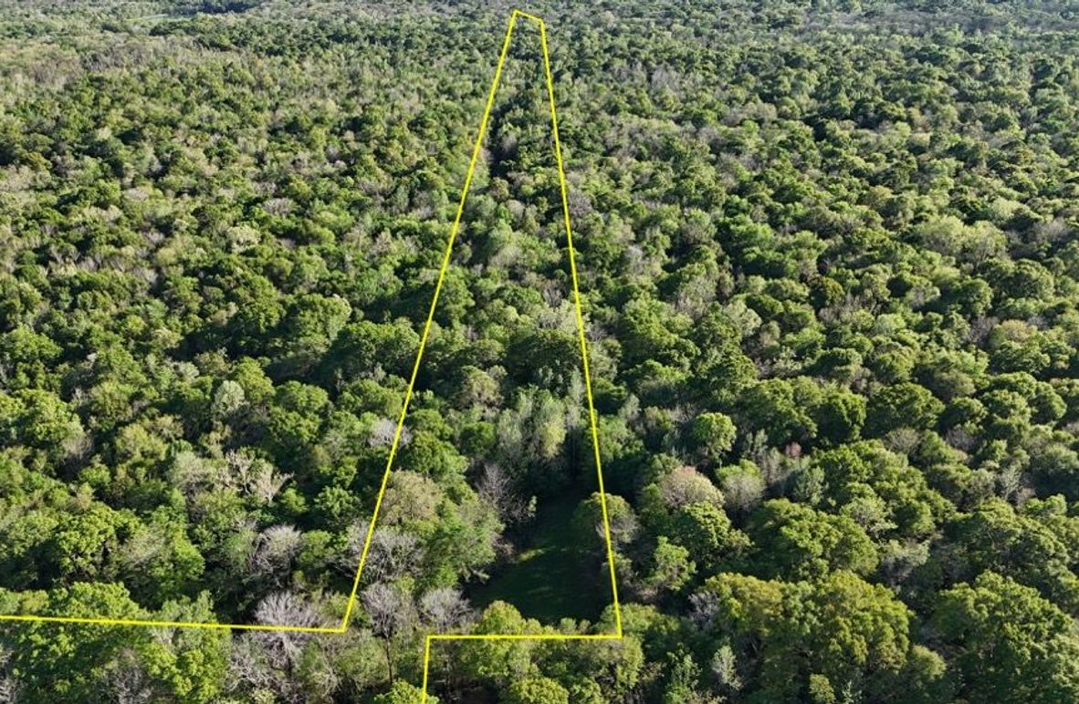 dji_fly_20260326_174122_0122_1774621494956_photo