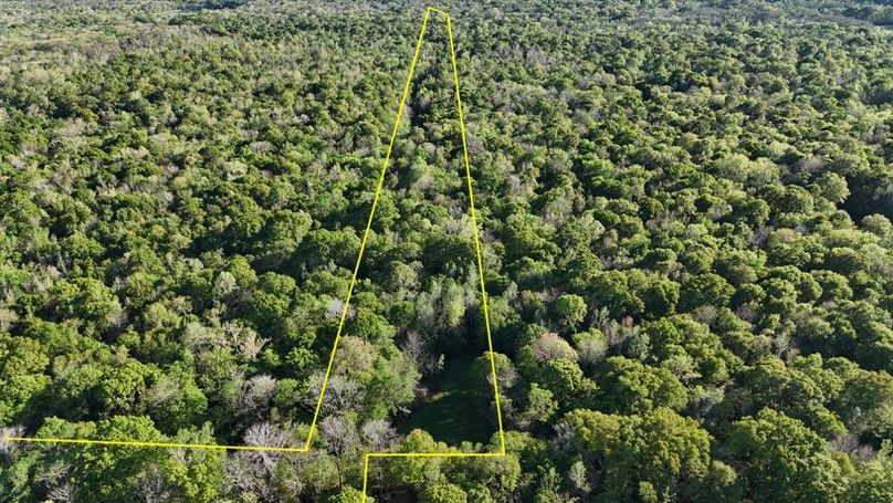 dji_fly_20260326_174122_0122_1774621494956_photo