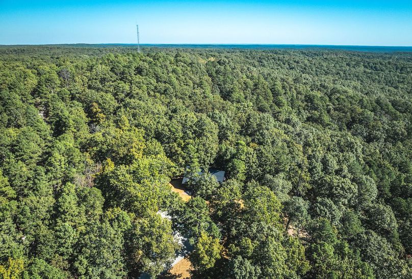 DJI_20251009045631_0587_D