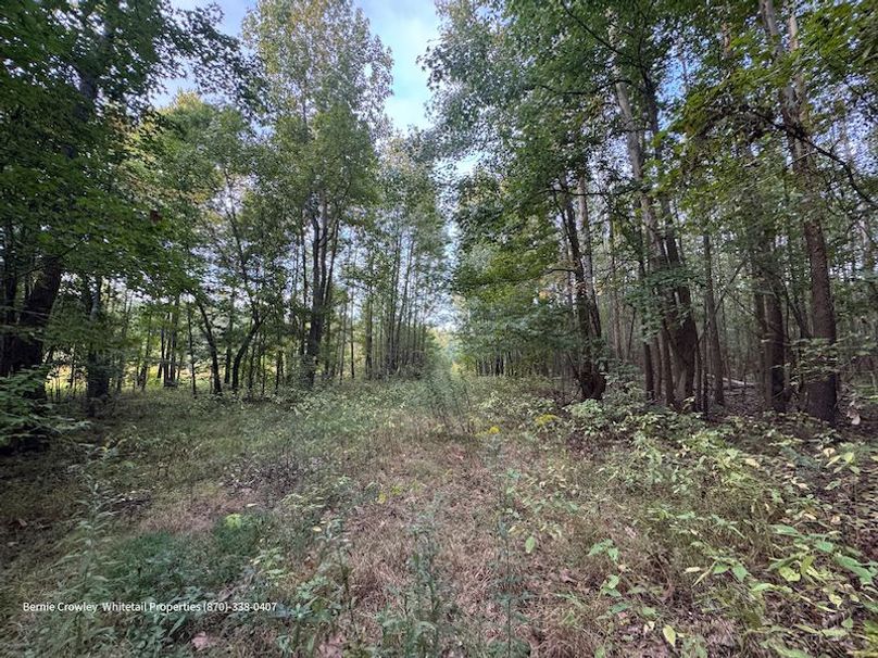 DeSoto 329 Prewett (Thompson) -23