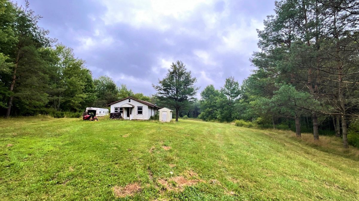 Tiny off-grid 575 sq ft treehouse with ocean views on the market