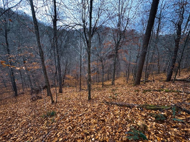 Ritchie, WV 100 AC Harper-23