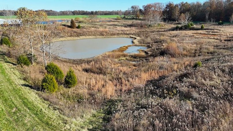 DJI_20251112150918_0610_D