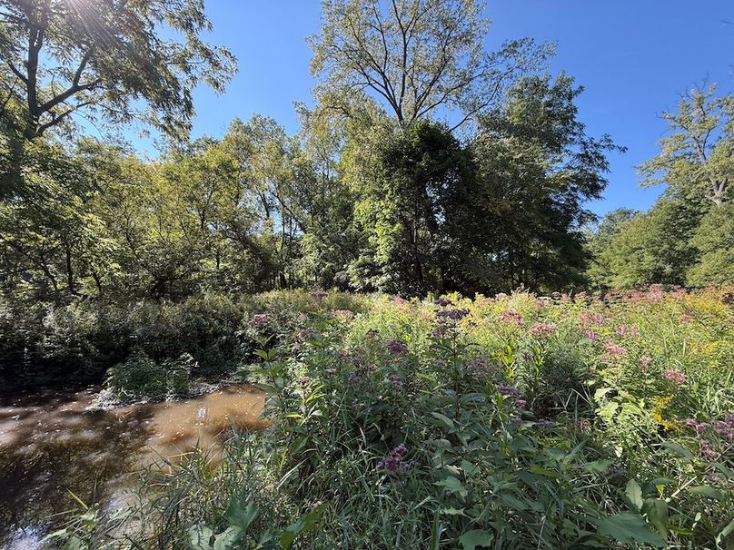 Cayuga_5.7_Cotten Photo 23