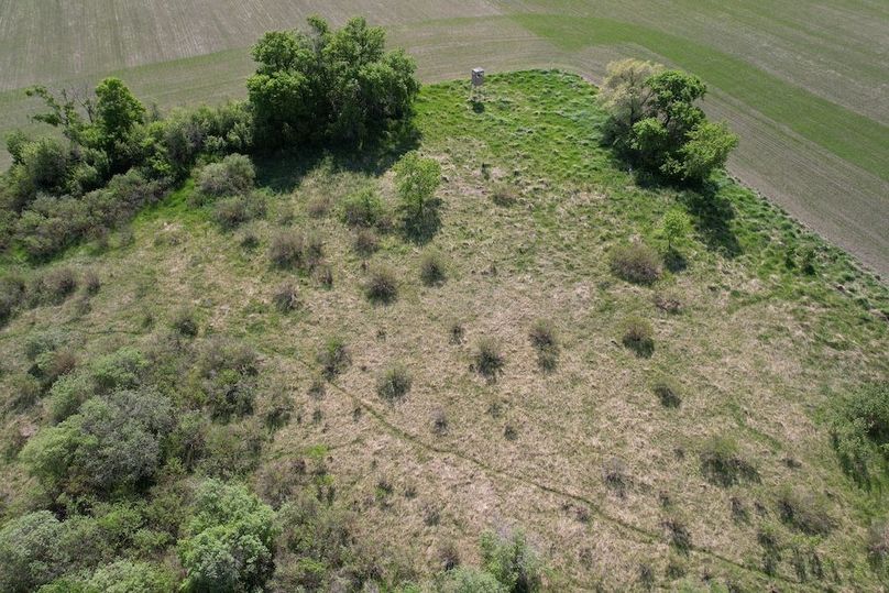 dji_fly_20260528_103218_353_1779982492468_photo