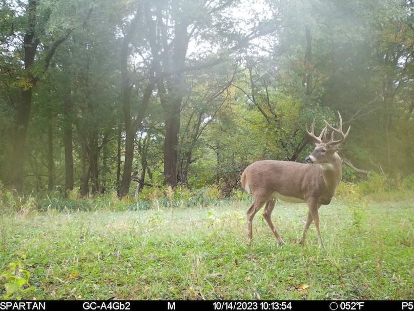 TRAIL CAM 23