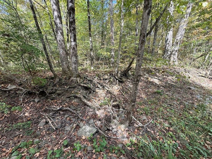 Tioga_30_Flanner Photo 33