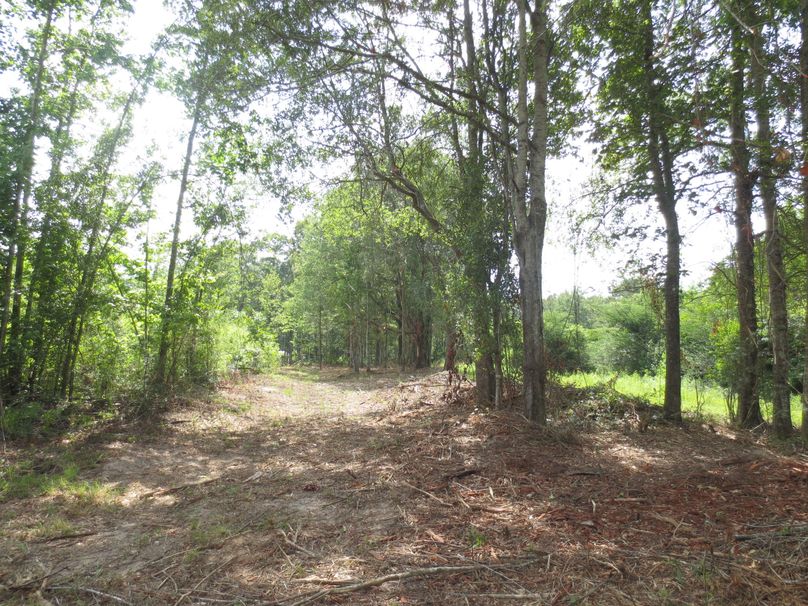 F91D5EC2-4461-4C93-A7C0-F7BABE1AB765