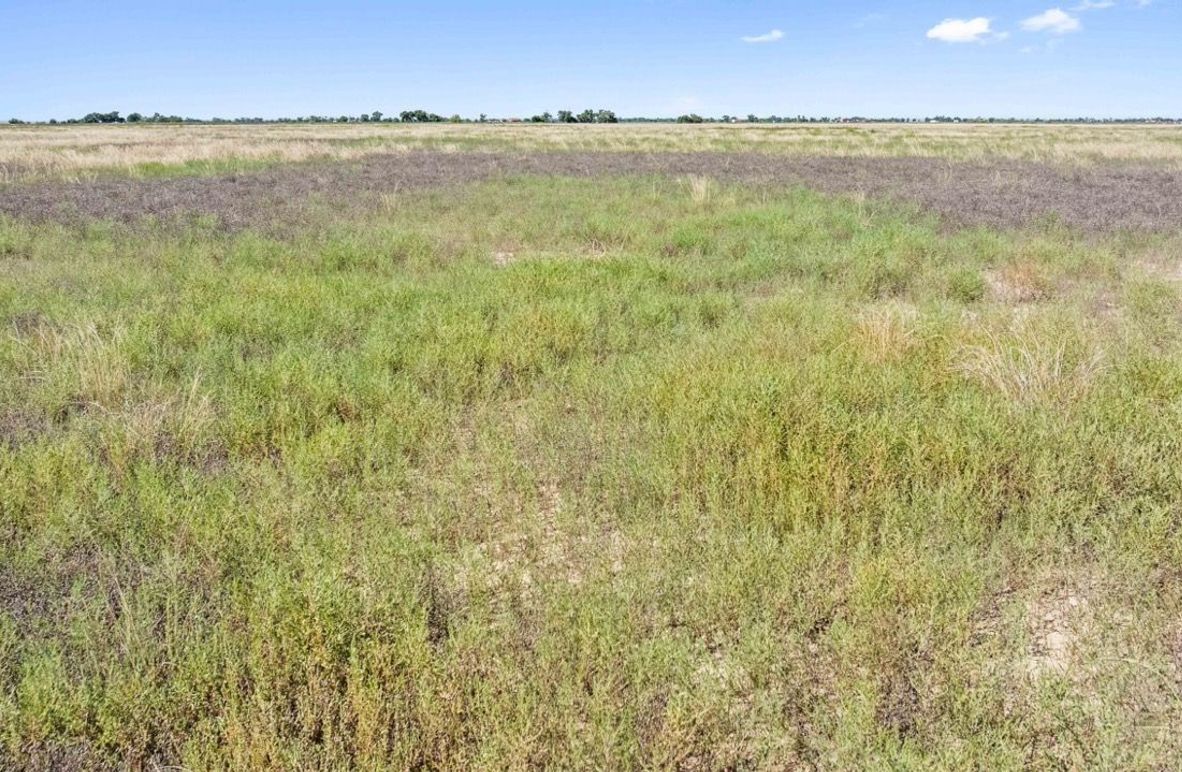 Copy of 4_Crowley, CO 511 Tract 1 Large