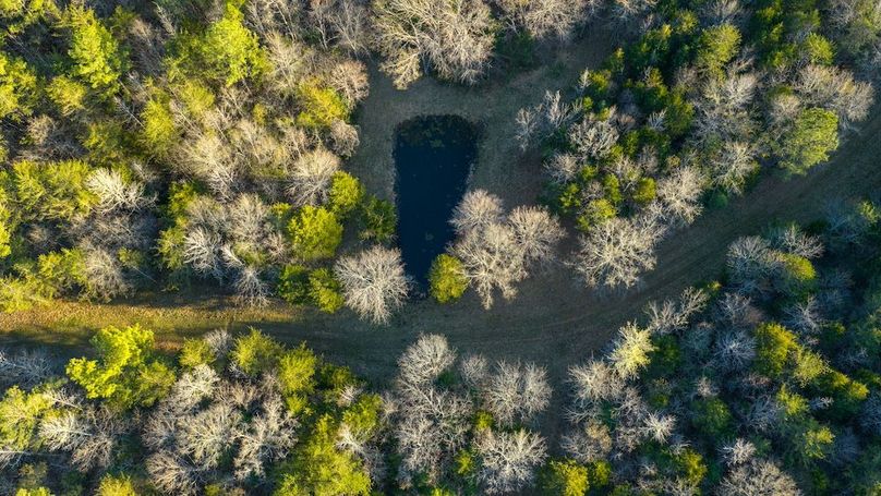 Granville NC 183 Premium _Pro Photo-76