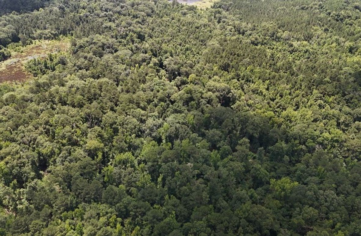 DJI_20250625012014_0679_D