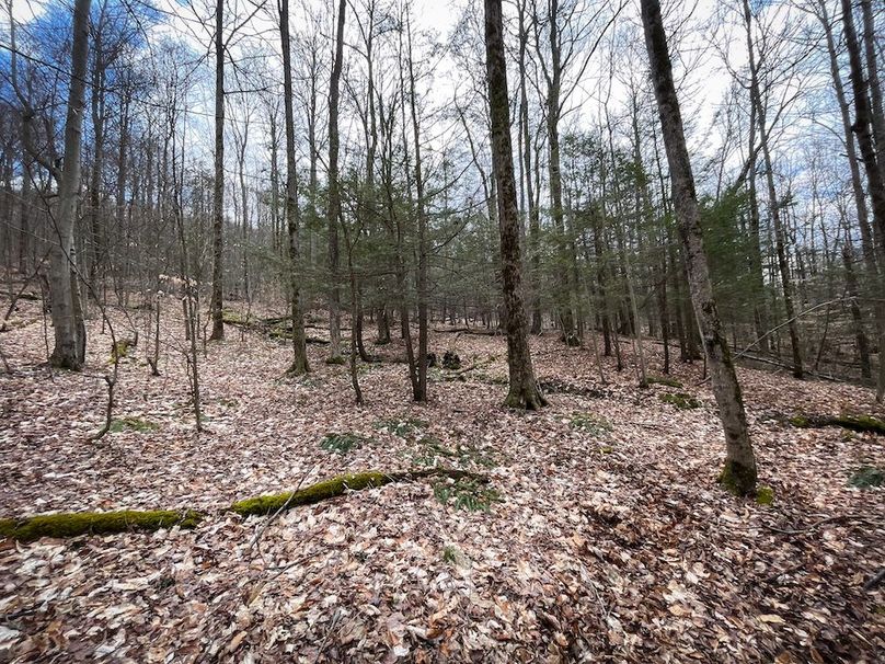 Tioga__NY_109.7_Burris_Photos_72