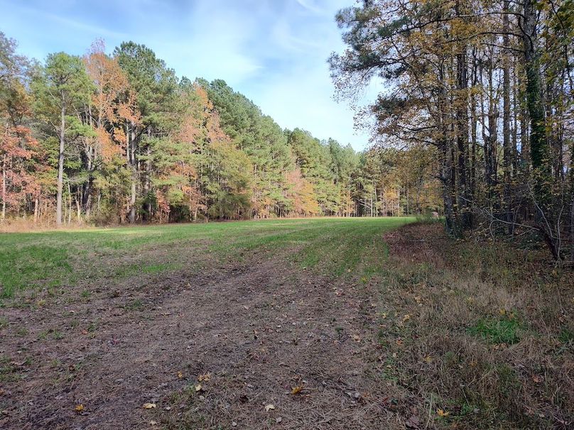 IMG_20251105_144944655_HDR