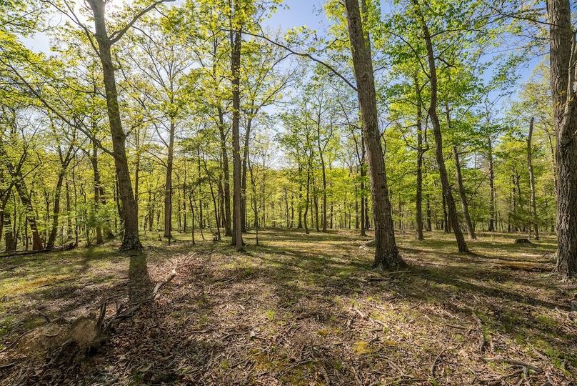 Hampshire WV 106 Featured_Pro Photo-38
