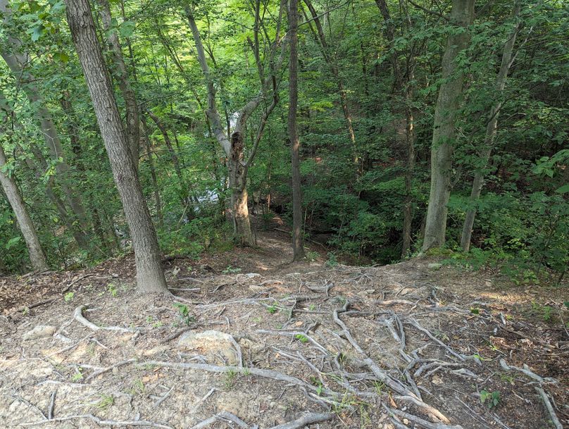 PXL_20230801_150108320