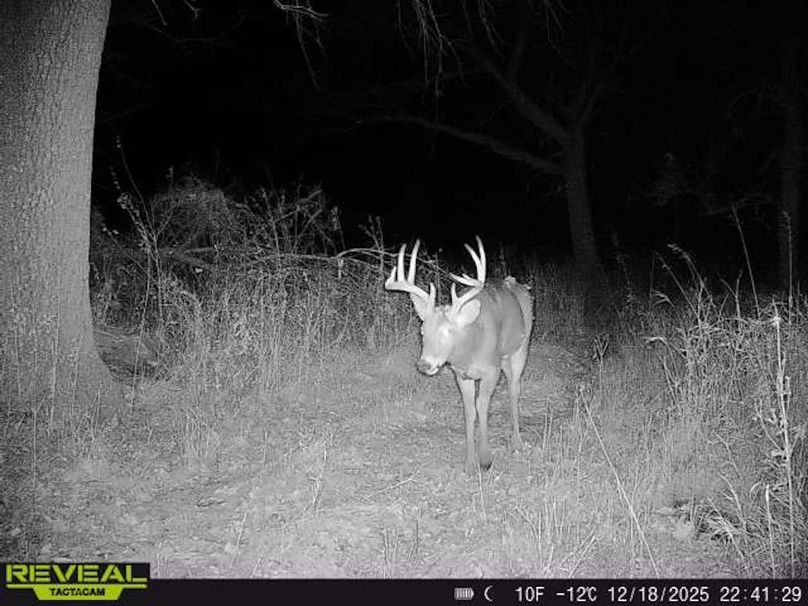 863900044749122-100-4-12182025224130-W1000380