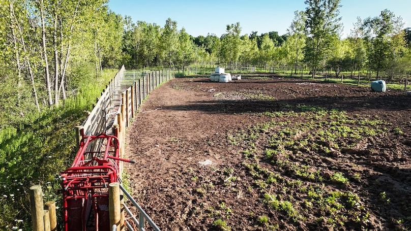 Ontario_19.1_Schmucker_Photos_10