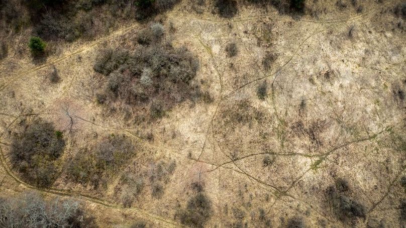 Tioga__NY_109.7_Burris_Photos_55