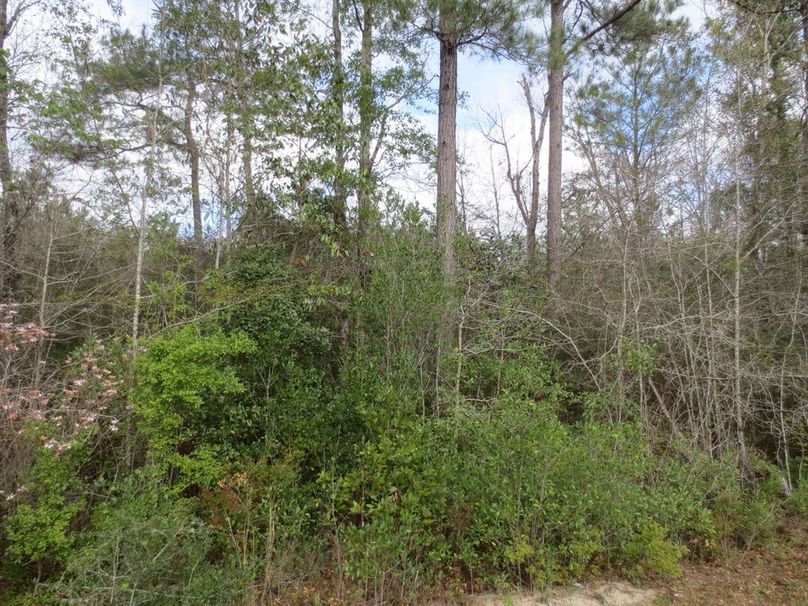 25239DD1-5CC3-4E17-A1B2-290F0F1FEC85_1_105_c