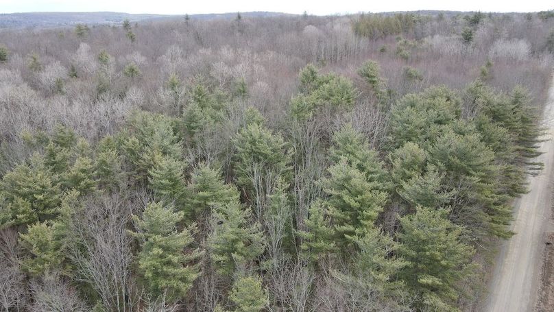 24 dji_fly_20250325_113138_952_1742916713833_photo