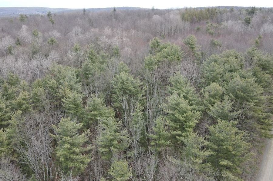24 dji_fly_20250325_113138_952_1742916713833_photo