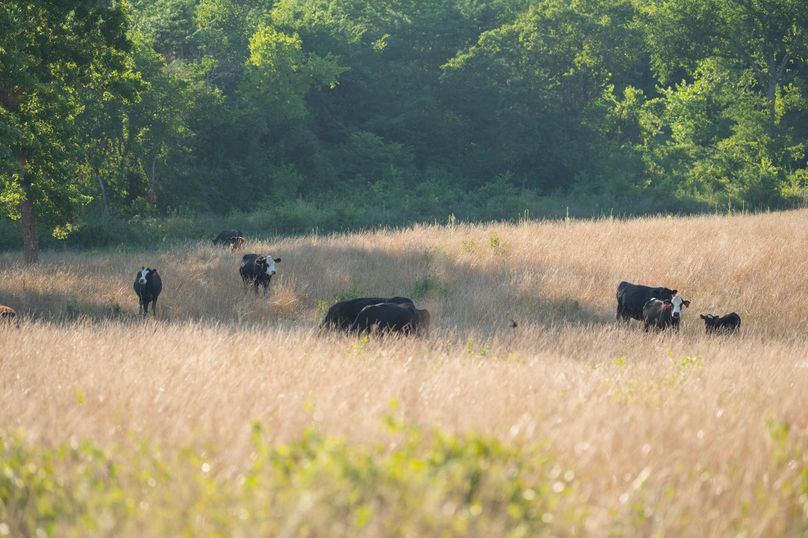 Ozark MO 638_Pro Photo_76