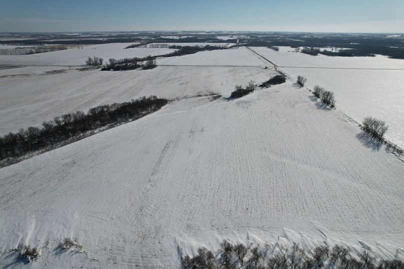 dji_fly_20260226_145234_87_1772139414847_photo