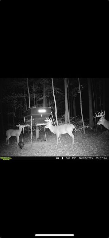 Screenshot 2026-01-09 at 12.49.59 PM