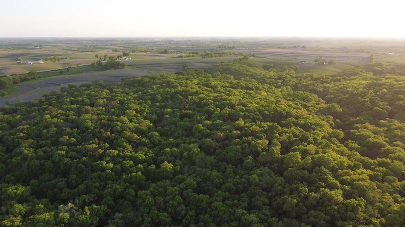 PAGE CO IA 130+_-_67