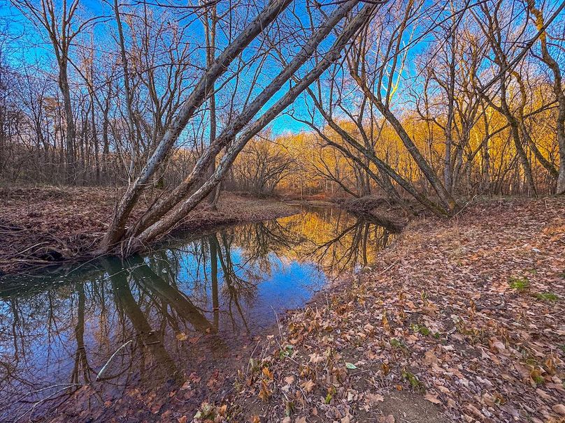 Pleasants_Wood 169.97 AC Cokeley-17