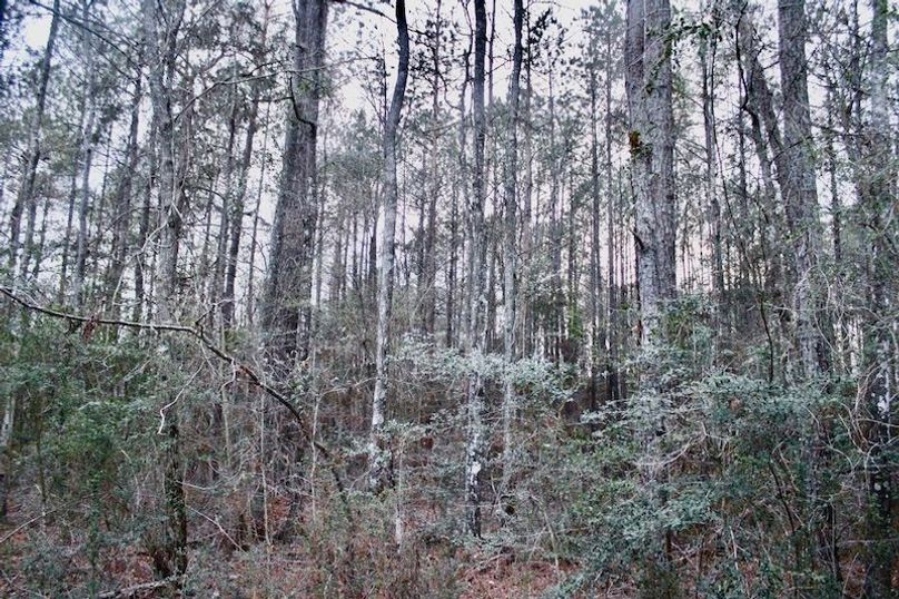 50C7EDE5-72DA-4F7E-B123-4B27CED09E8D_1_105_c