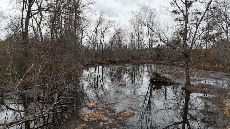 dji_fly_20260218_164800_0043_1771452052235_photo