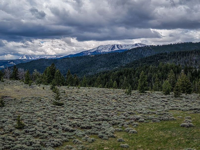 20250604105111_0084_D