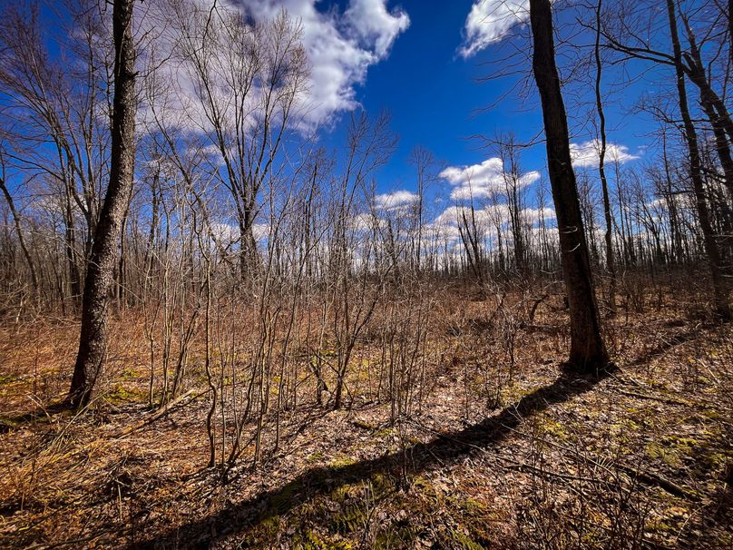 Oswego_165.52_Lashomb_Photos_43