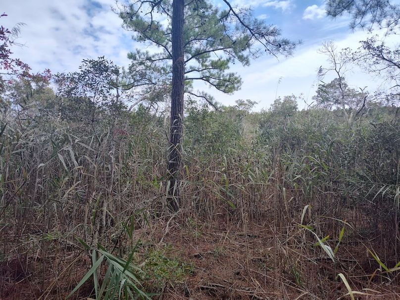 IMG_20250830_123353617_HDR