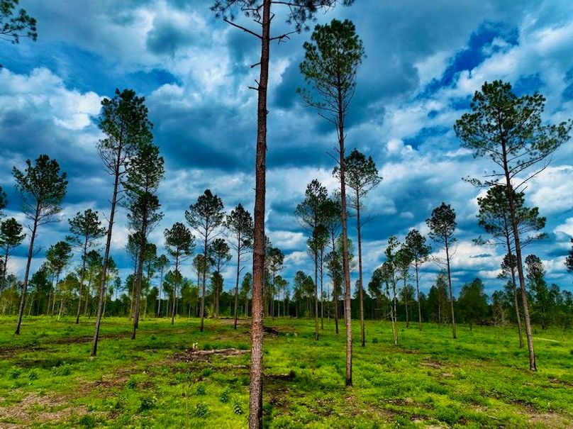 105E8535-AC84-4DEC-96A5-3BFD4F670AD9_1_105_c