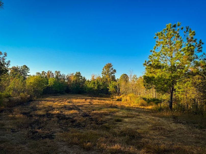 Clay 302.7 Henderson-34