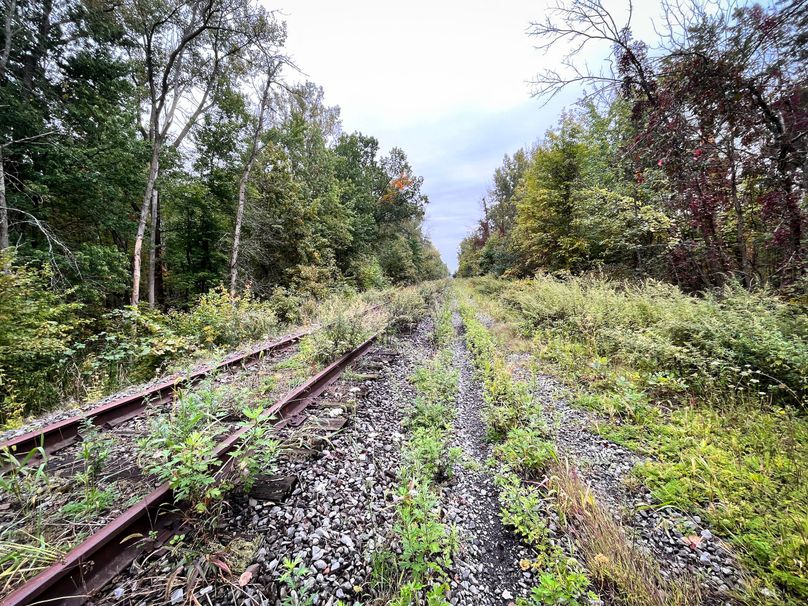 Ontario_16.2_Eddington Photo 28