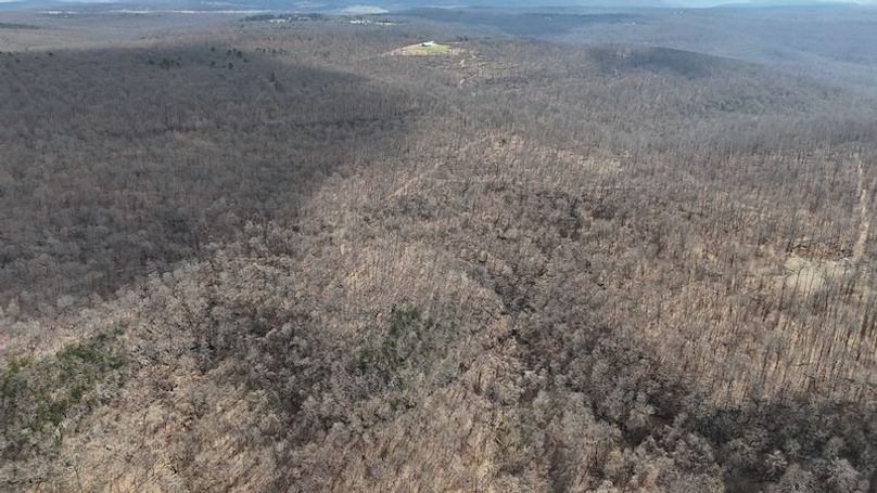 stone8020260307_0054