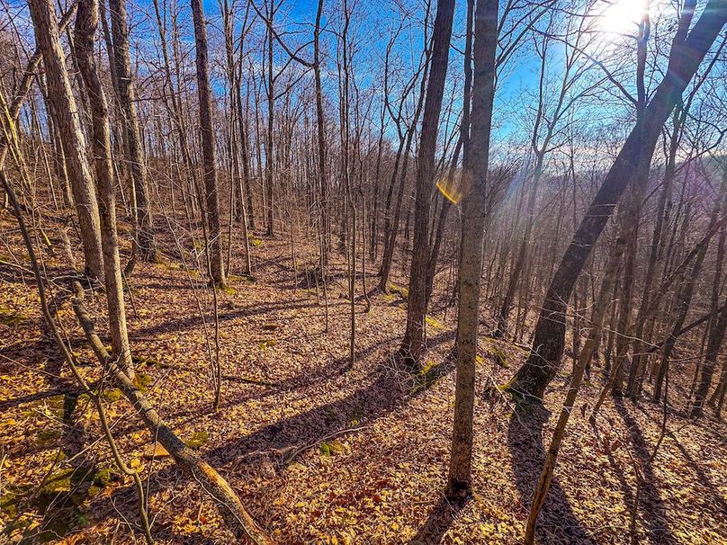 Lewis, WV 82.87 AC Barger-33