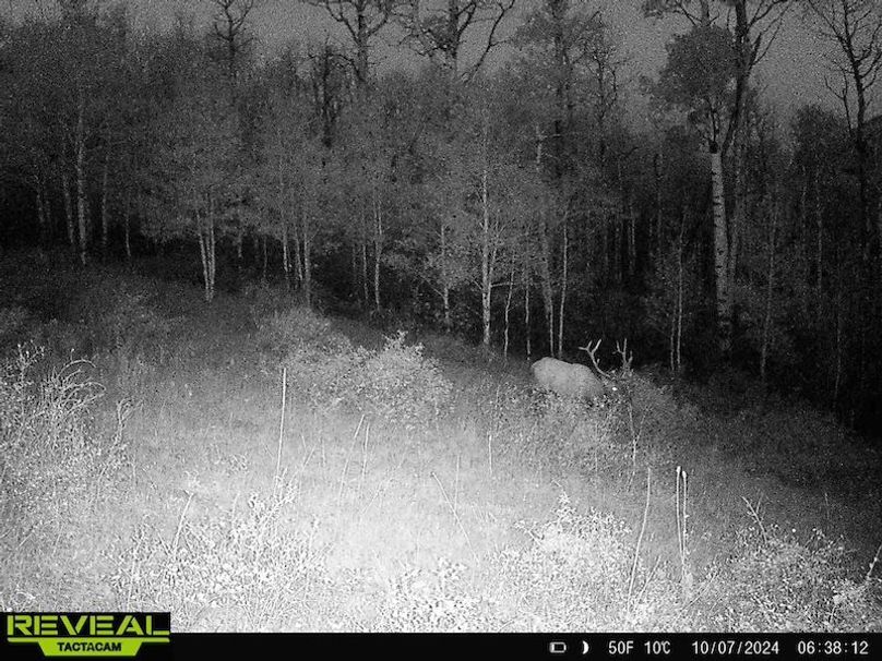 864049052055672-10-4-10072024063812-HD-W1001362 (1)