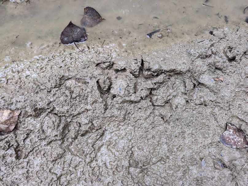 PXL_20230925_230259736