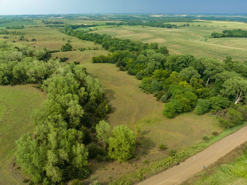 20230616-DJI_0373