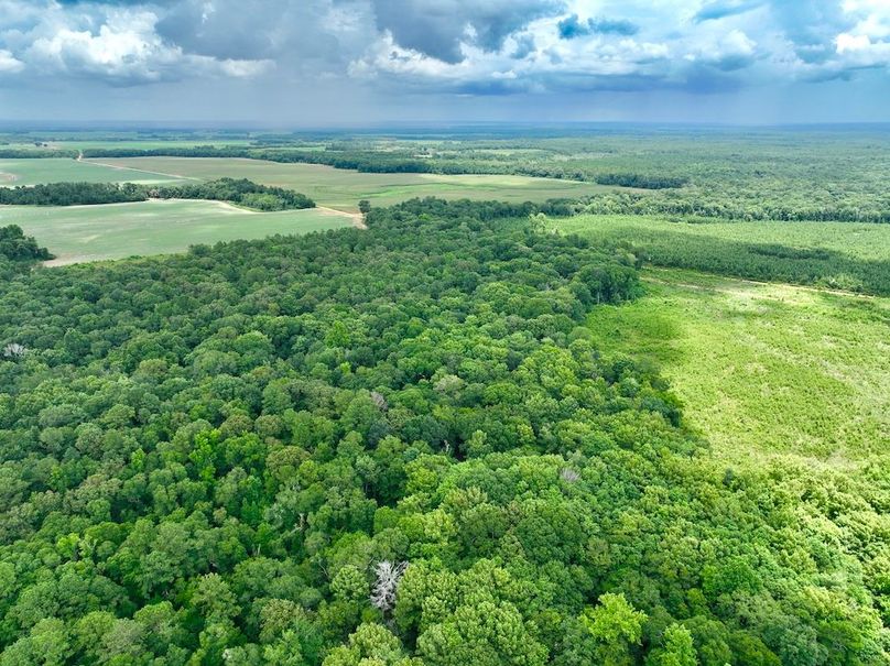 dji_fly_20240703_135210_501_1720038354594_photo